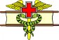 Combat Medic Decal's